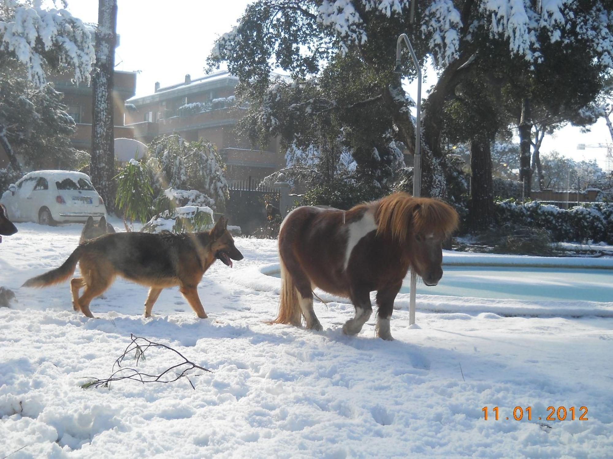 Relais La Canfora — Foto 3